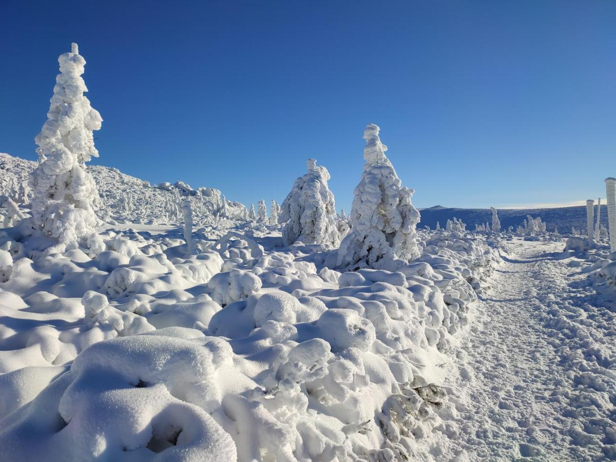 Wiking Szklarska Poręba Exterior foto